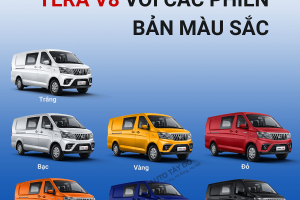 các phiên bản màu sắc của xe van tera V8